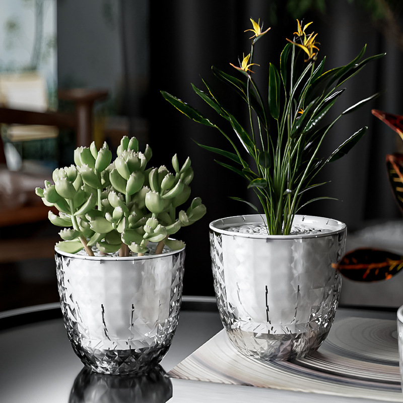 Aloe Vera Pot - Plantador preguiçoso de plástico transparente para
