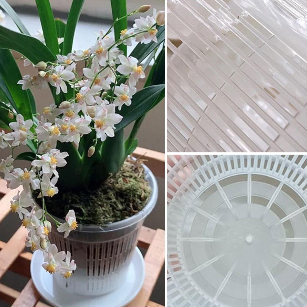 Aloe Vera Pot - Vaso de malha transparente para controle