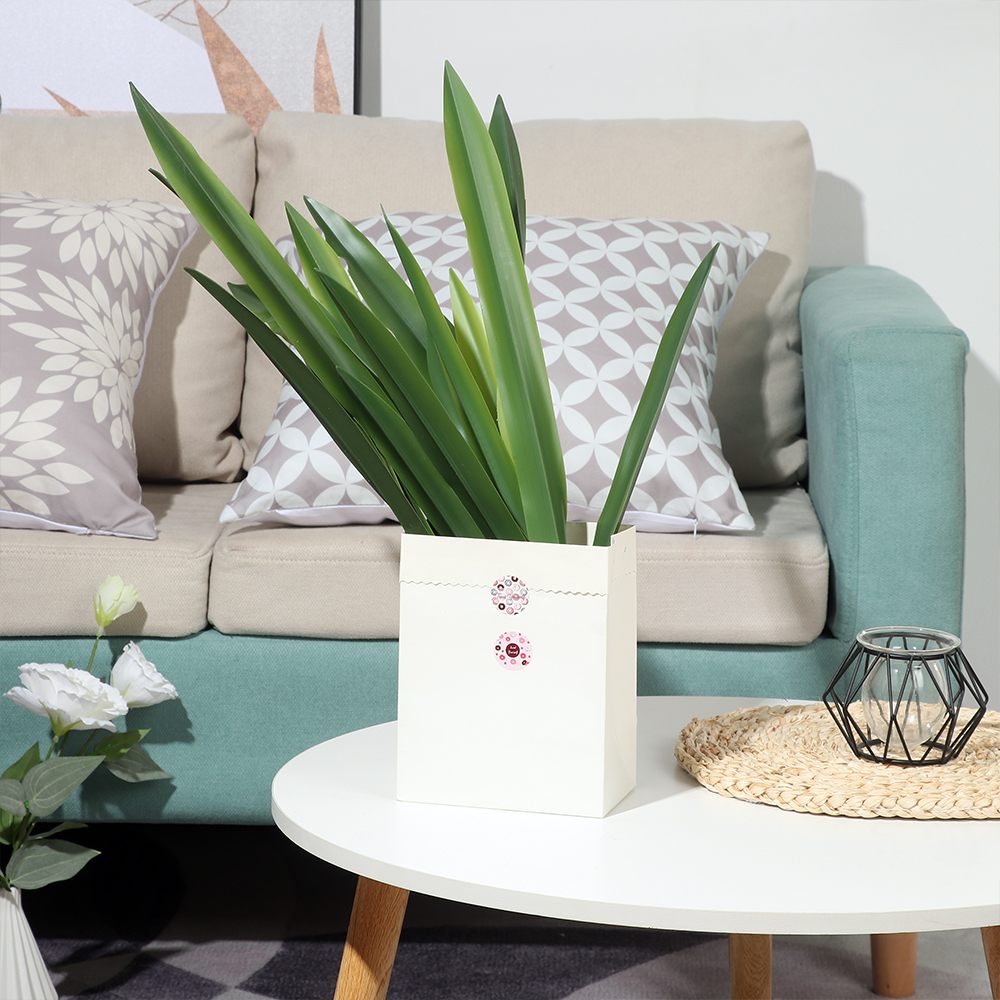 Folha Artificial De Orquídea D - Dracaena Marginata avaliação e preço