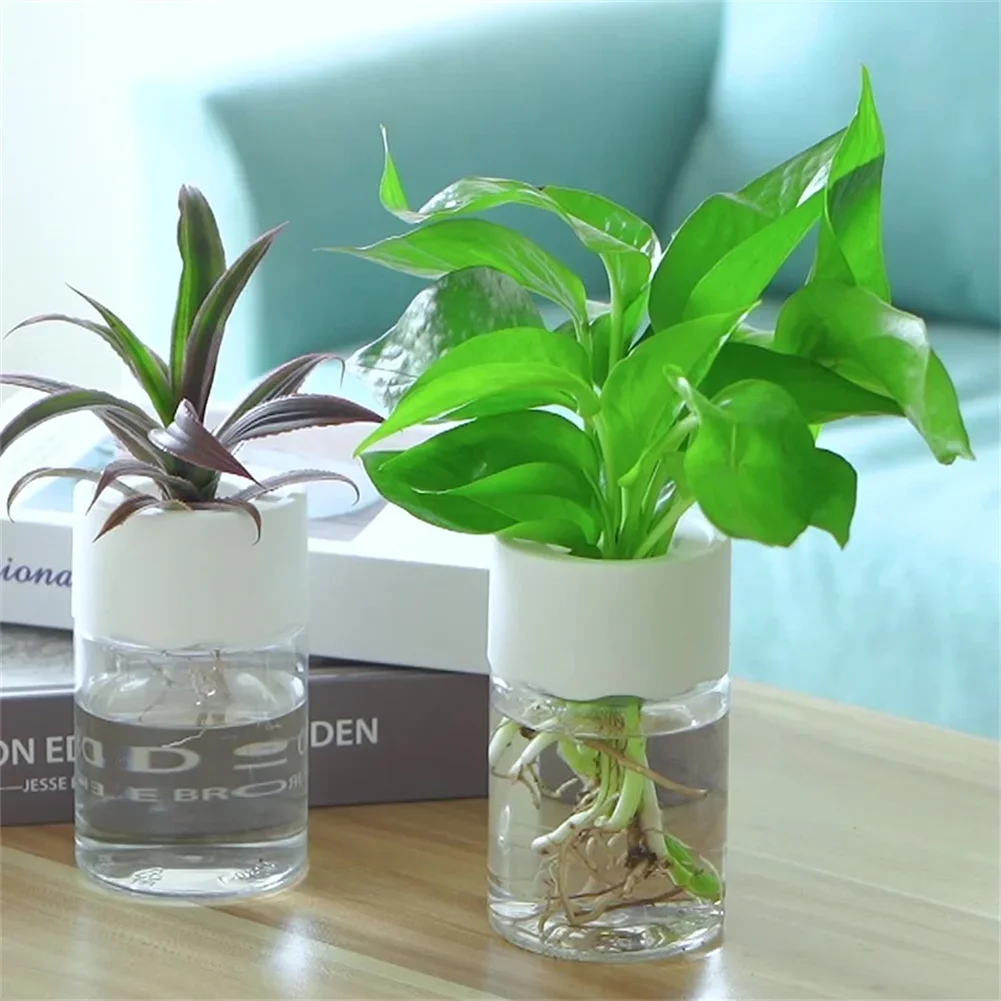 Mini Vaso Hidropônico Transpar - Aloe Vera Pot avaliação e preço