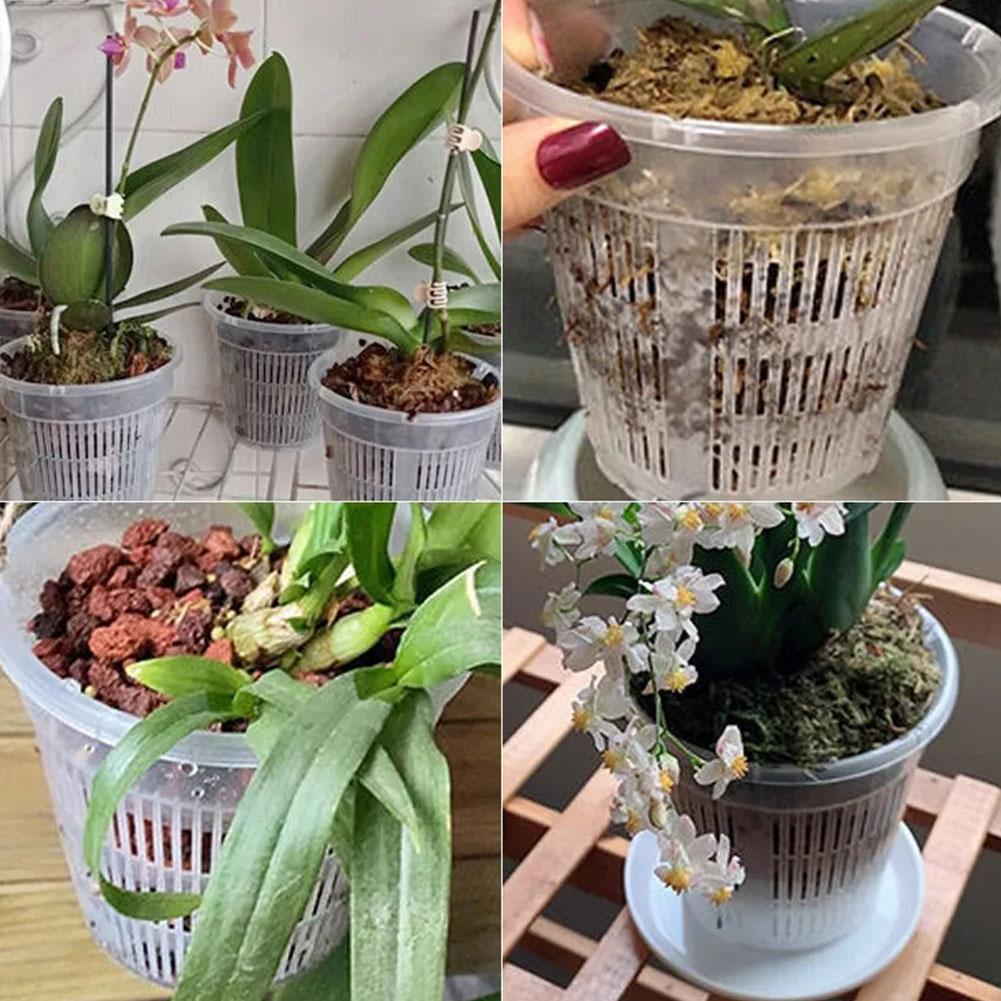 Vaso de malha transparente par - Aloe Vera Pot avaliação e preço