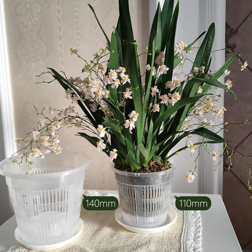 Vaso de malha transparente par - Aloe Vera Pot avaliação e preço