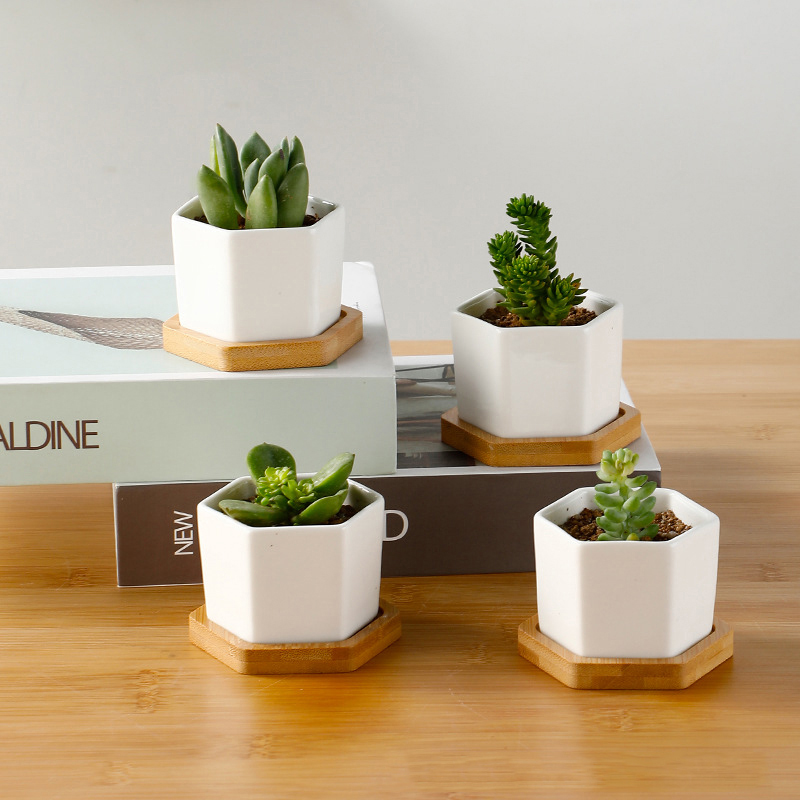 Panela Cerâmica Hexagonal Bran - Aloe Vera Pot avaliação e preço