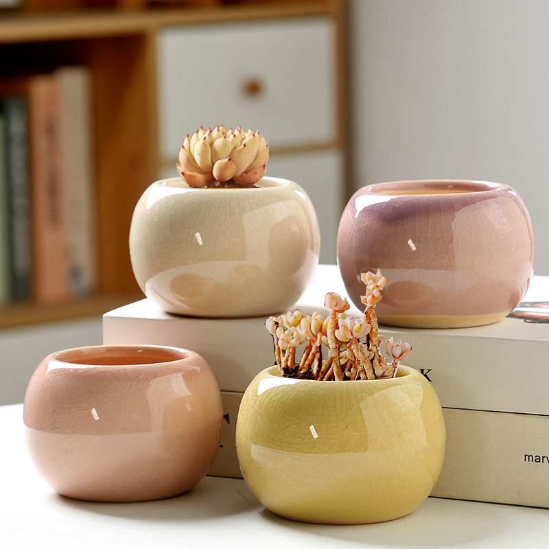 Vaso de flores gelo rachado pe - Aloe Vera Pot avaliação e preço