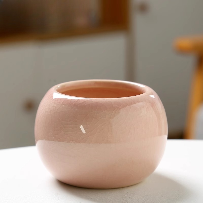 Vaso de flores gelo rachado pe - Aloe Vera Pot avaliação e preço