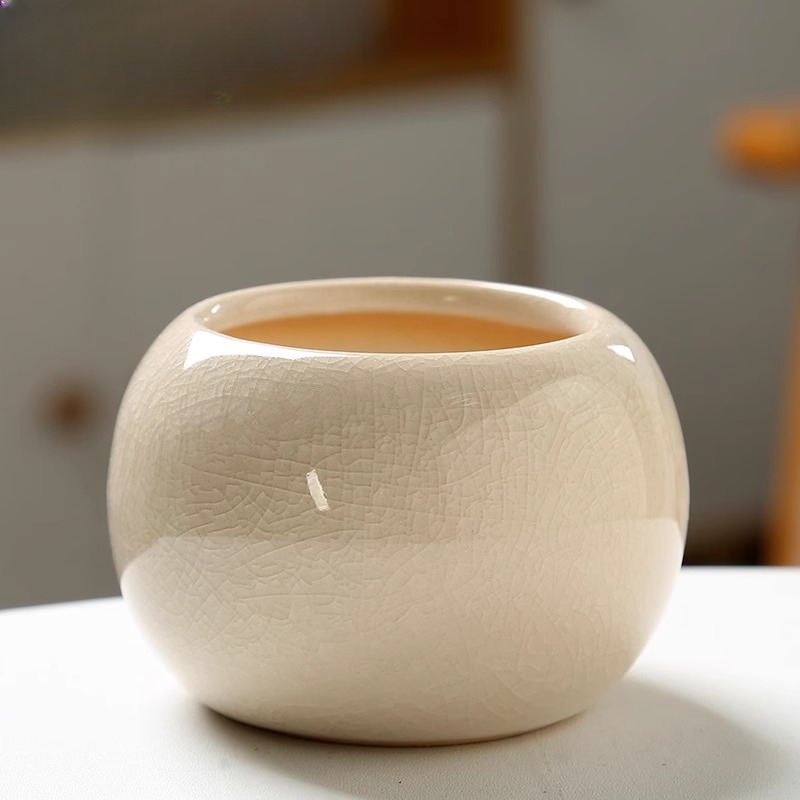 Vaso de flores gelo rachado pe - Aloe Vera Pot avaliação e preço
