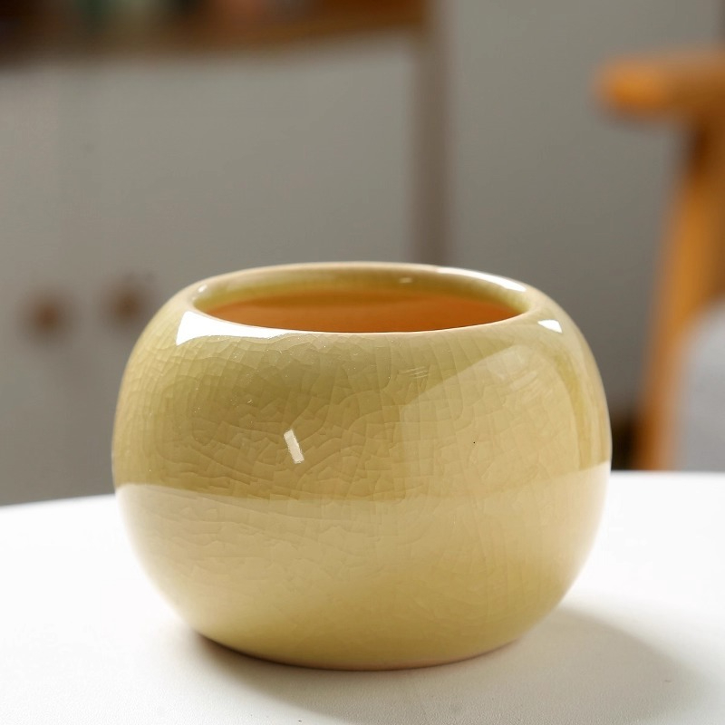 Vaso de flores gelo rachado pe - Aloe Vera Pot avaliação e preço