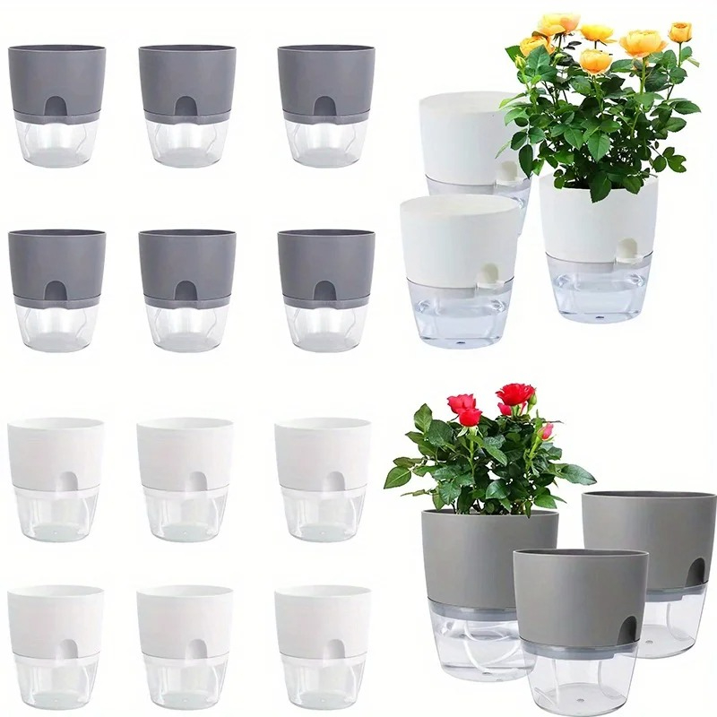 10/5 pçs auto rega vaso de flo - Aloe Vera Pot avaliação e preço
