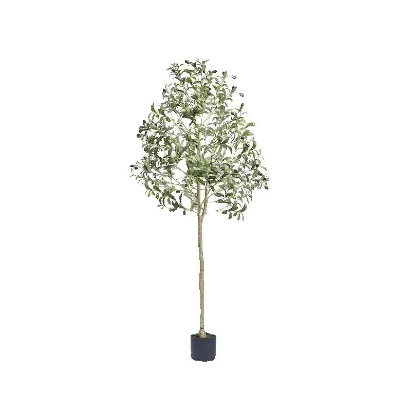 Aceebuy oliveira artificial 4/ - Dracaena Marginata avaliação e preço