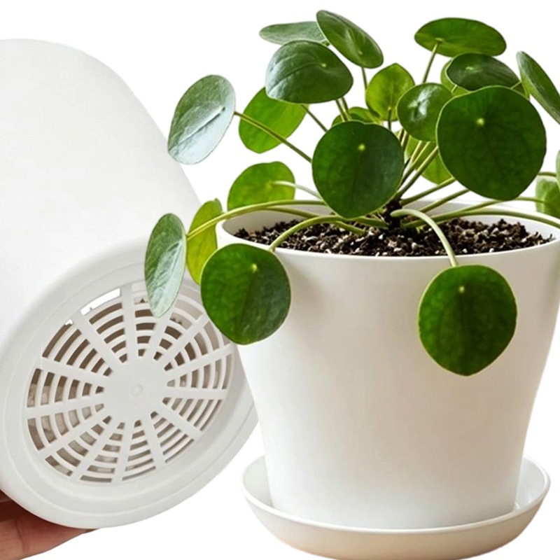 Conjunto de Vasos com Furos de - Aloe Vera Pot avaliação e preço