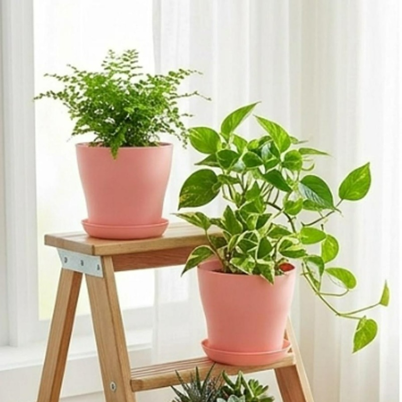 Conjunto de Vasos com Furos de - Aloe Vera Pot avaliação e preço