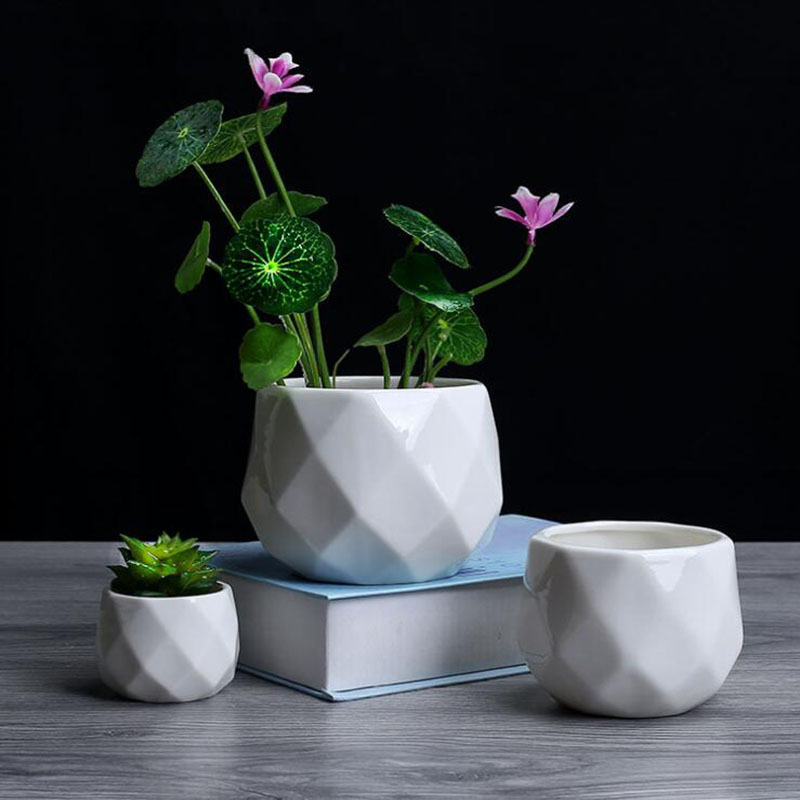 Vaso de flores poliedro de por - Aloe Vera Pot avaliação e preço