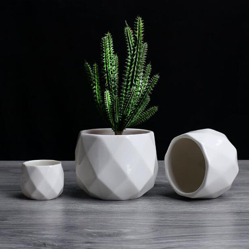Vaso de flores poliedro de por - Aloe Vera Pot avaliação e preço