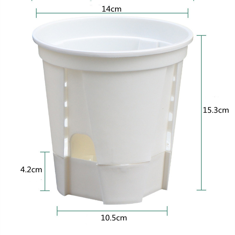 Transparente Plastic Orchid Po - Aloe Vera Pot avaliação e preço